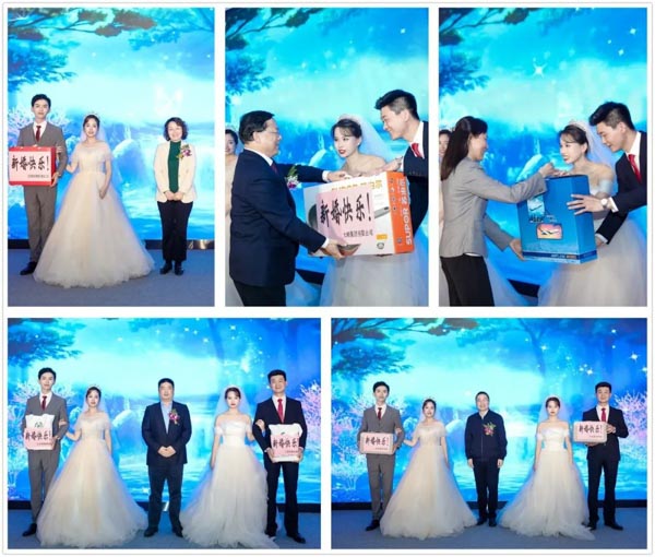 星辉平台有限公司