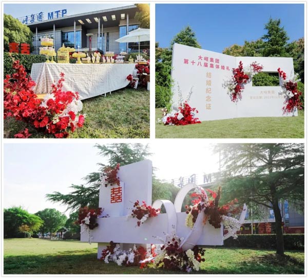 星辉平台有限公司