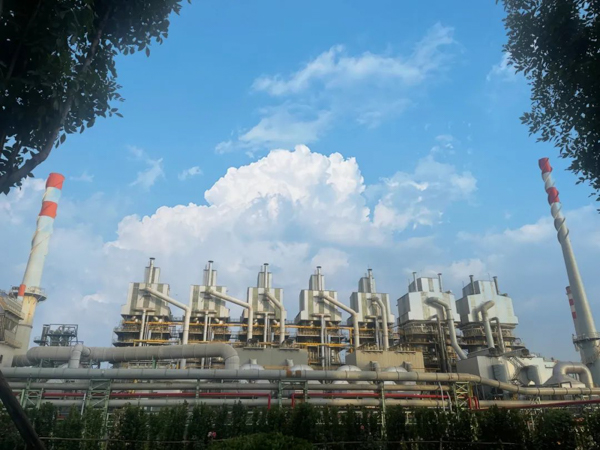 星辉平台有限公司