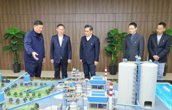 星辉平台有限公司